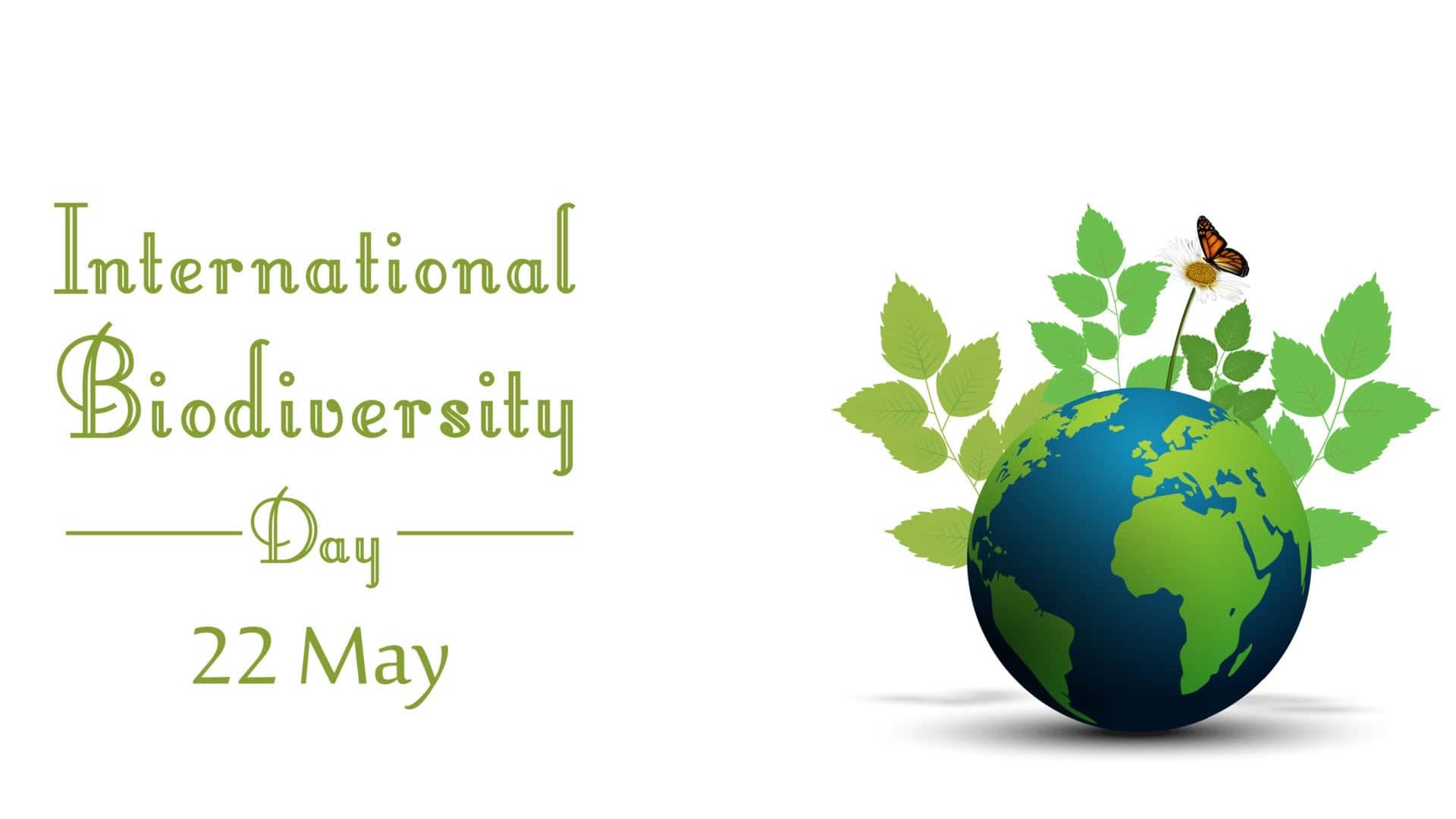 I.M.A.M. Representative Participates in WCC Webinar on Biodiversity Justice